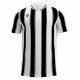 SCEPTRUM shirt