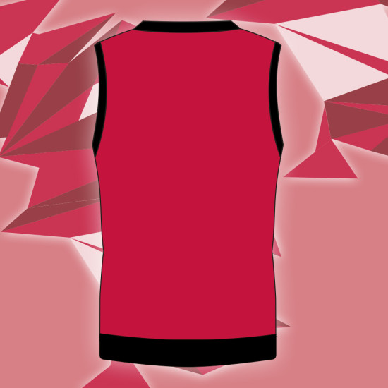 Wales Over 50's Cricket - Pullover Jumper (Short Sleeve)