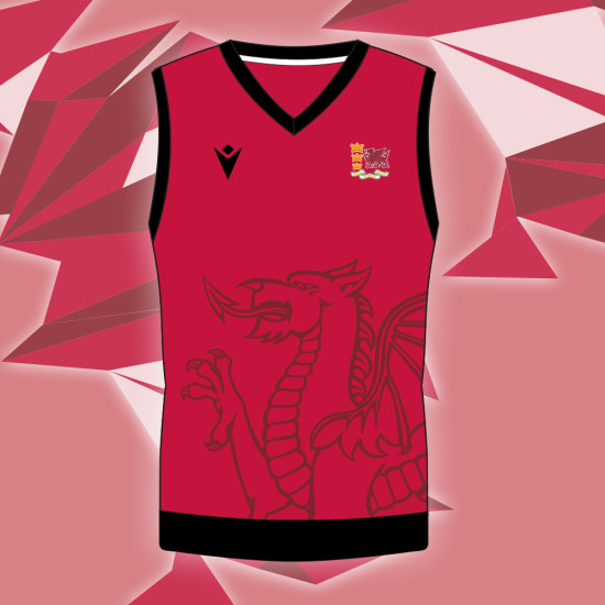 Wales Over 50's Cricket - Pullover Jumper (Short Sleeve)