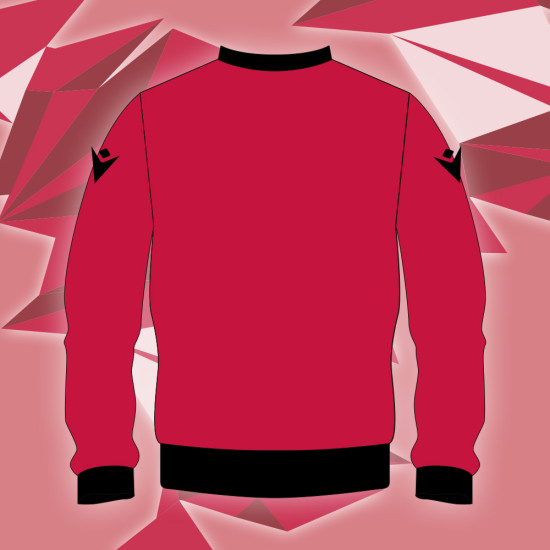 Wales Over 50's Cricket - Pullover Jumper (Long Sleeve)